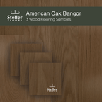 American Oak Bangor by Steller Floors - Sample 3-Pack - Includes Clips & Free Shipping