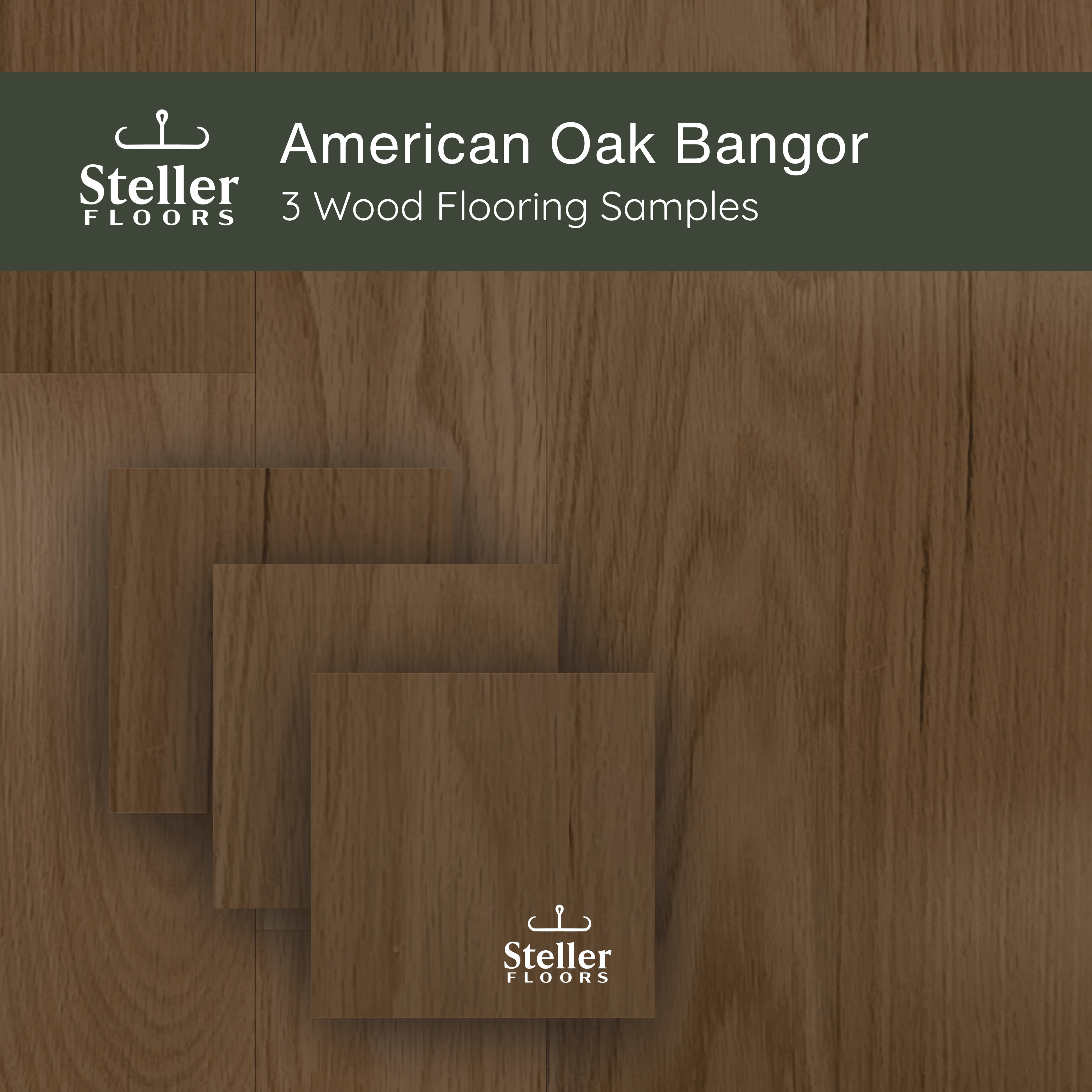 American Oak Bangor by Steller Floors - Sample 3-Pack - Includes Clips & Free Shipping