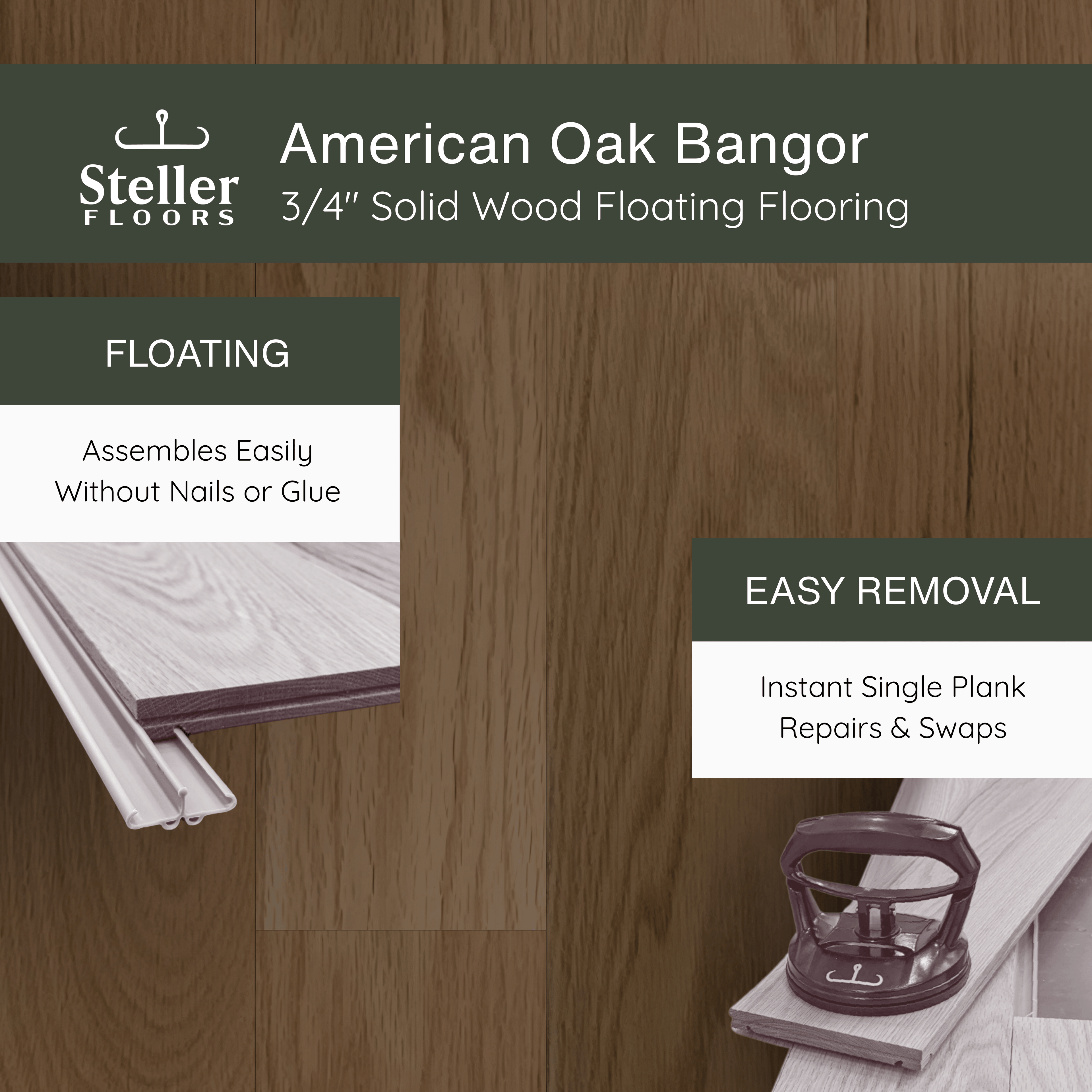 American Oak Bangor by Steller Floors - 3/4" Solid Wood Floating System & Free Shipping