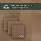 Hard Maple Dartmouth by Steller Floors - Sample 3-Pack - Includes Clips & Free Shipping