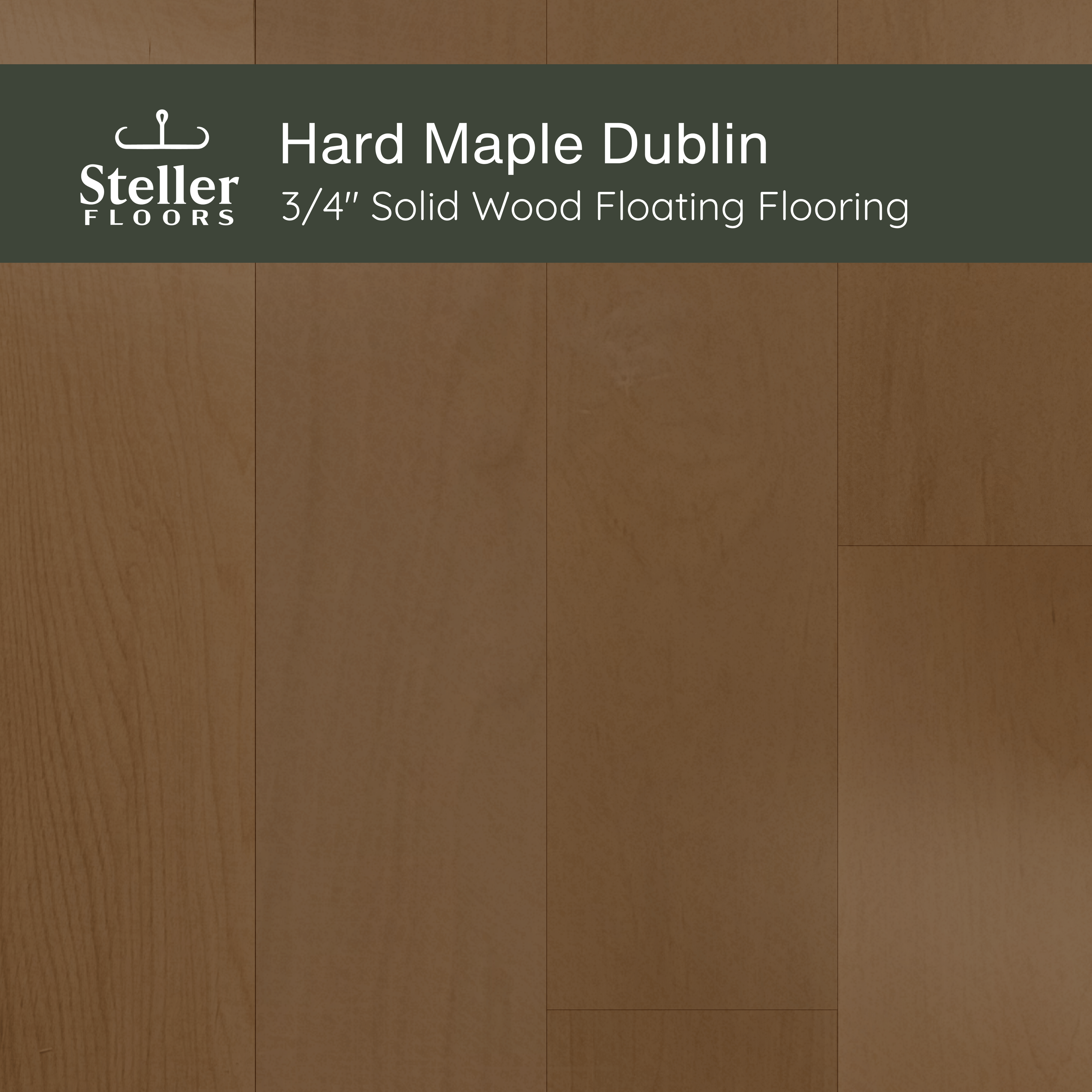 Hard Maple Dublin by Steller Floors - Sample 3-Pack - Includes Clips & Free Shipping