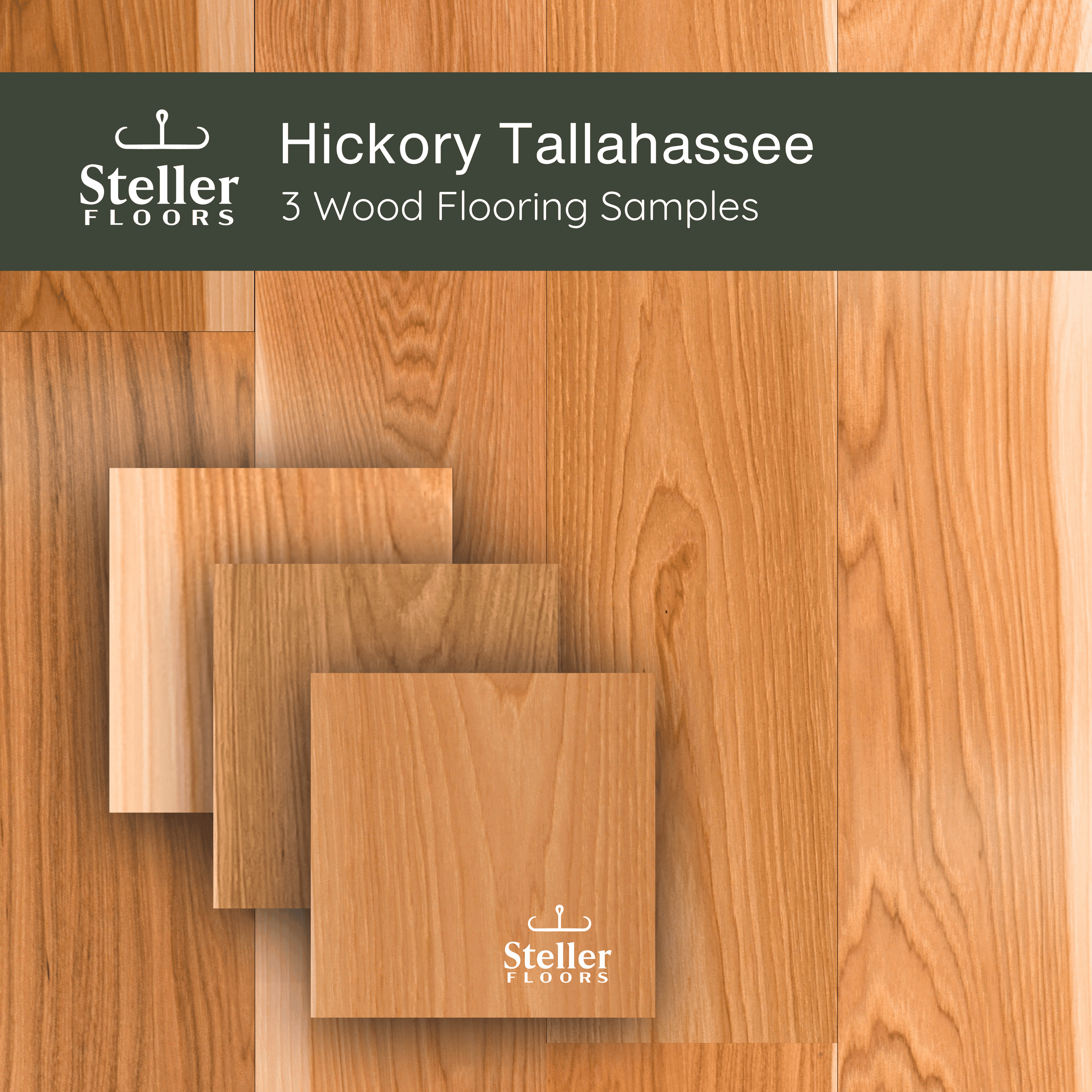 Hickory Tallahassee by Steller Floors - Sample 3-Pack - Includes Clips & Free Shipping