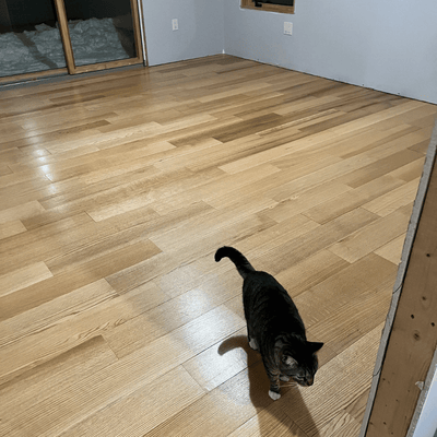 Steller Floating Solid Wood Floors in New Build Residential - American Oak Quartz Throughout + Cat